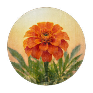 Planche À Découper Vibrante Fleur de Tagète Orange au Soleil Couchant