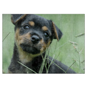 Planche À Découper Votre photo de animal de compagnie personnalisez l