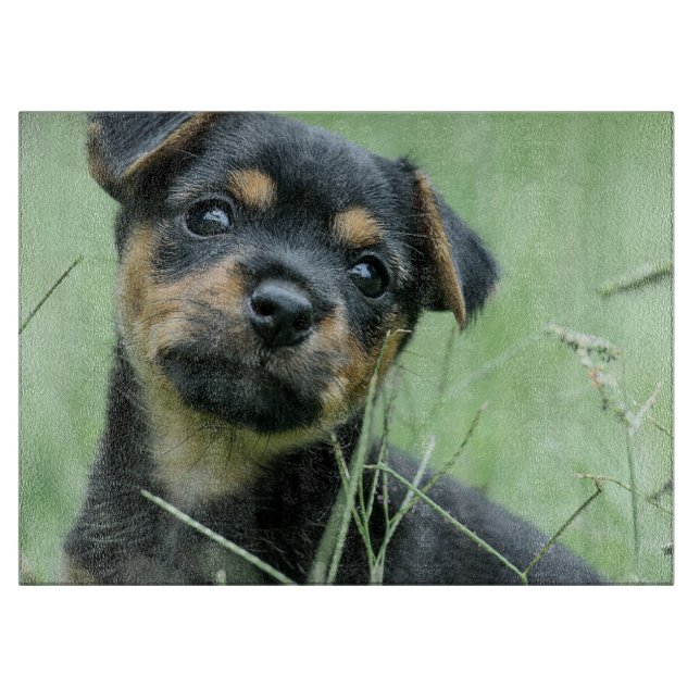 Planche À Découper Votre photo de animal de compagnie personnalisez l (Devant)