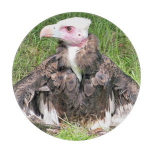 PLANCHE À DÉCOUPER VULTURE
