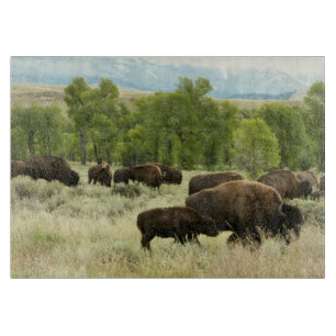 Planche À Découper Wyoming Bison Nature Animal Photographie
