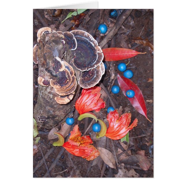 Plancher forestier tropical (Devant)