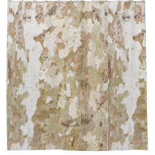 Plane tree camouflage looks bark pattern