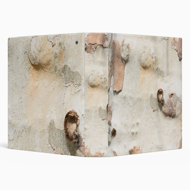 Plane tree camouflage looks bark pattern binder (Background)