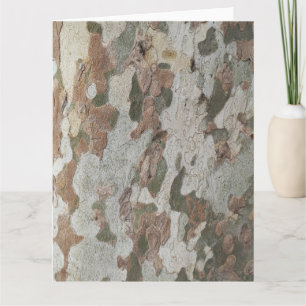 Plane tree camouflage looks bark pattern card