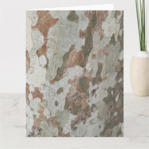 Plane tree camouflage looks bark pattern card