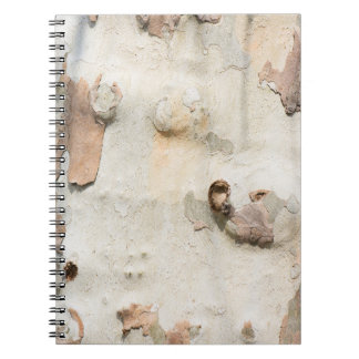 Plane tree camouflage looks bark pattern notebook