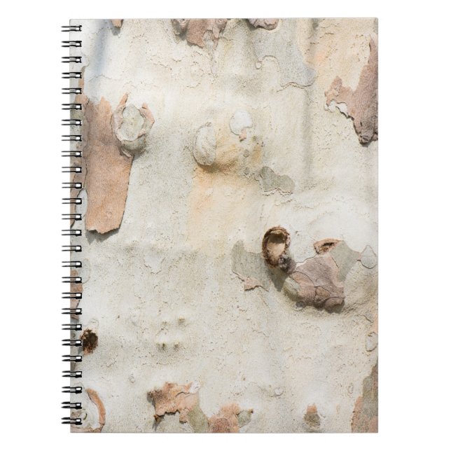 Plane tree camouflage looks bark pattern notebook (Front)