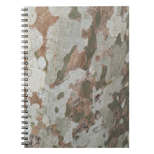 Plane tree camouflage looks bark pattern notebook (Front)