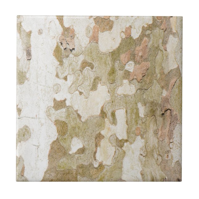 Plane tree camouflage looks bark pattern tile (Front)