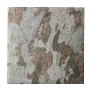 Plane tree camouflage looks bark pattern tile