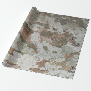 Plane tree camouflage looks bark pattern wrapping paper