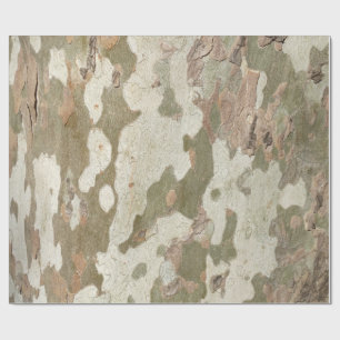 Plane tree camouflage looks bark pattern wrapping paper