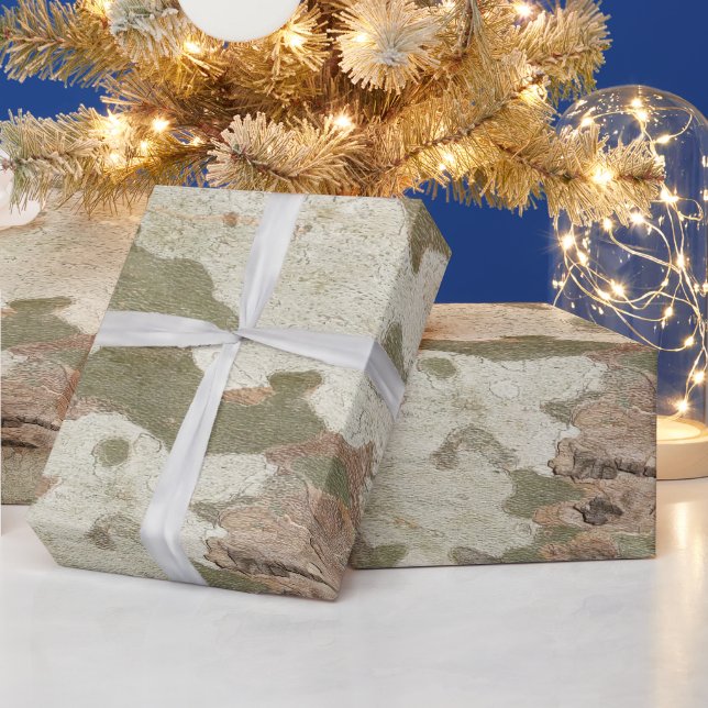 Plane tree camouflage looks bark pattern wrapping paper (Holidays)