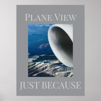 Plane View Poster