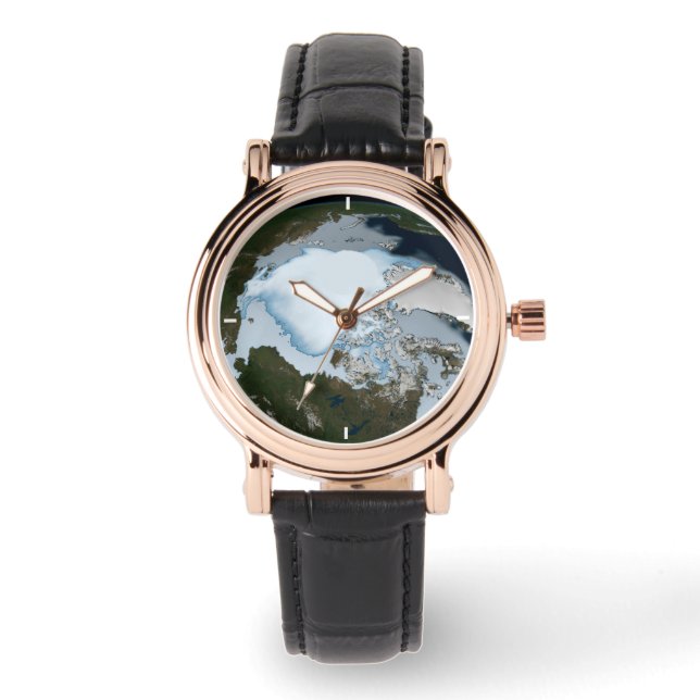 Planet Earth Showing Sea Ice Coverage In 1980. Watch (Front)