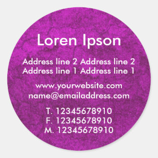 Planet Pink Business / Profile Classic Round Sticker