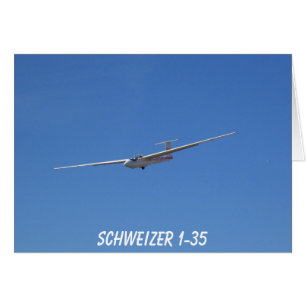 Planeur 1-35 de Schweizer