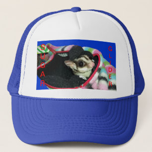 Planeur à sucre portant un Casquette