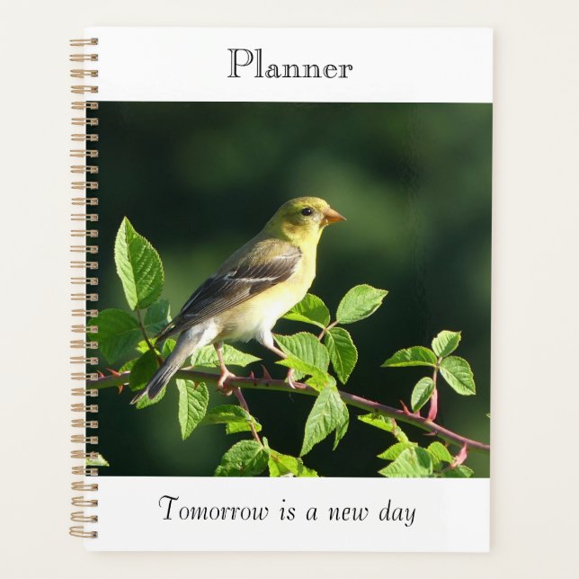 Planificateur à oiseau perché (Devant)