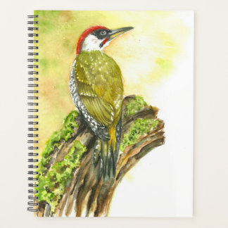 Planificateur avec aquarelle Pic vert