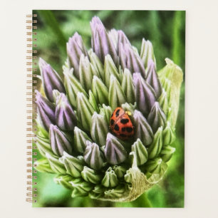 planificateur avec une belle fleur sur la couvertu