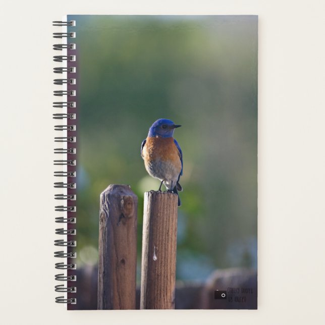 Planificateur Bluebird (Devant)