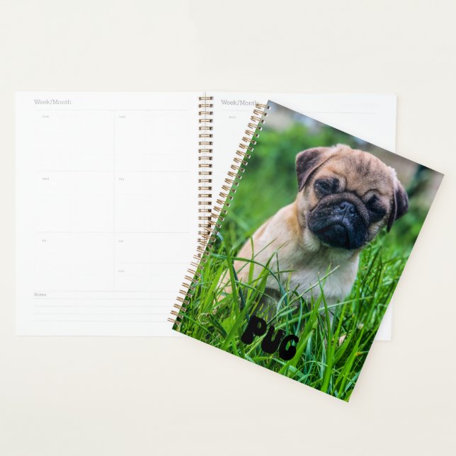 Planificateur Calendrier des chiots Carlins mignon (Devant avec enveloppe)