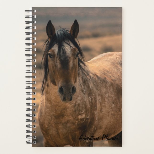 Planificateur d'aventure avec Sir Behr (Devant)