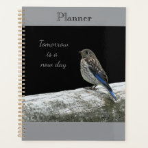 Planificateur de bébé oiseau