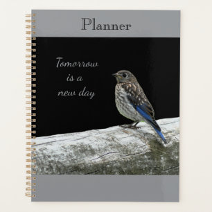 Planificateur de bébé oiseau