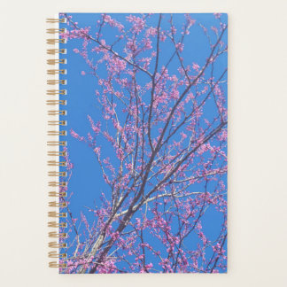 Planificateur de calendrier Bonsai