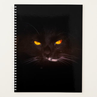 Planificateur de chats noirs