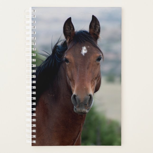 Planificateur de chevaux sauvages (Devant)