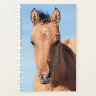 Planificateur de chevaux sauvages
