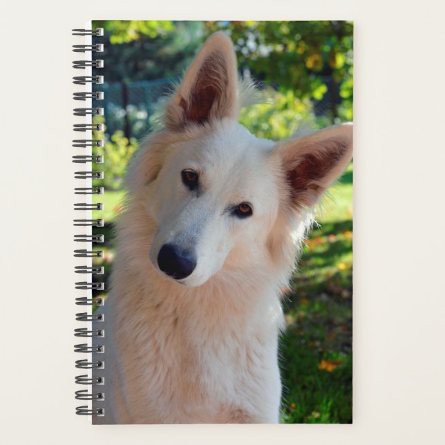 Planificateur de chiens (Devant)