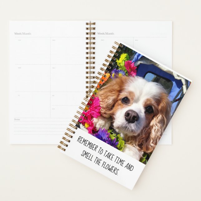 Planificateur de chiens Cavalier personnalisé (Devant avec enveloppe)