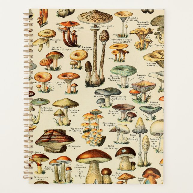 Planificateur de collection de champignons (Devant)