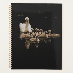 Planificateur de cygne