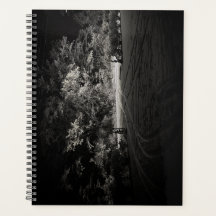 Planificateur de forêt enneigée de nuit