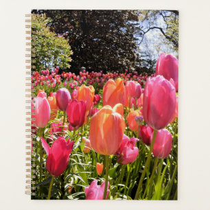 Planificateur de jardin Tulip