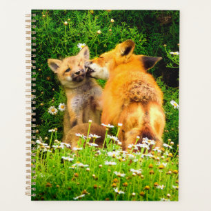 Planificateur de kits de renard roux Art de la f