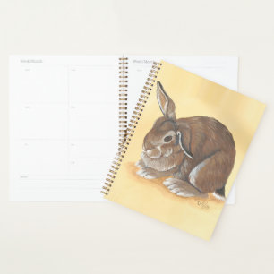Planificateur de lapin