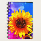 Planificateur de tournesols
