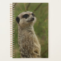 Planificateur et cahier en spirale Meerkat