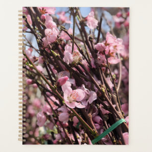 Planificateur floral