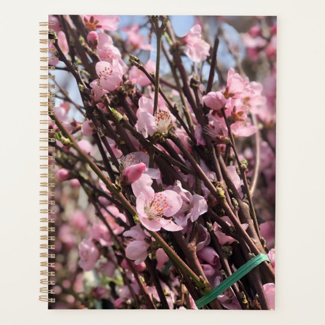 Planificateur floral (Devant)