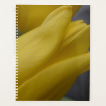 Planificateur floral Tulipe jaune – Photographie d
