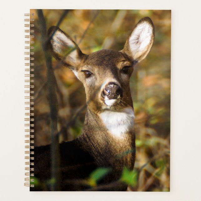 Planificateur hebdomadaire/mensuel de cerfs à queu (Devant)