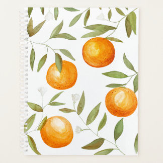Planificateur Orange Grove